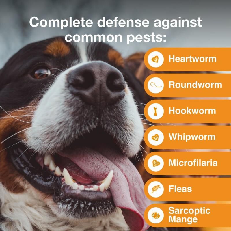 Advantage Multi Topical for Dogs 55.1-88 lbs Blue, 12 Month Supply