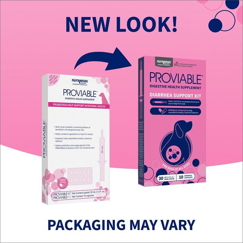 Proviable KP 30 ml Paste + 10 Caps for Dogs