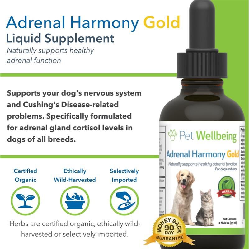 Pet Wellbeing Adrenal Harmony Gold for Dogs
