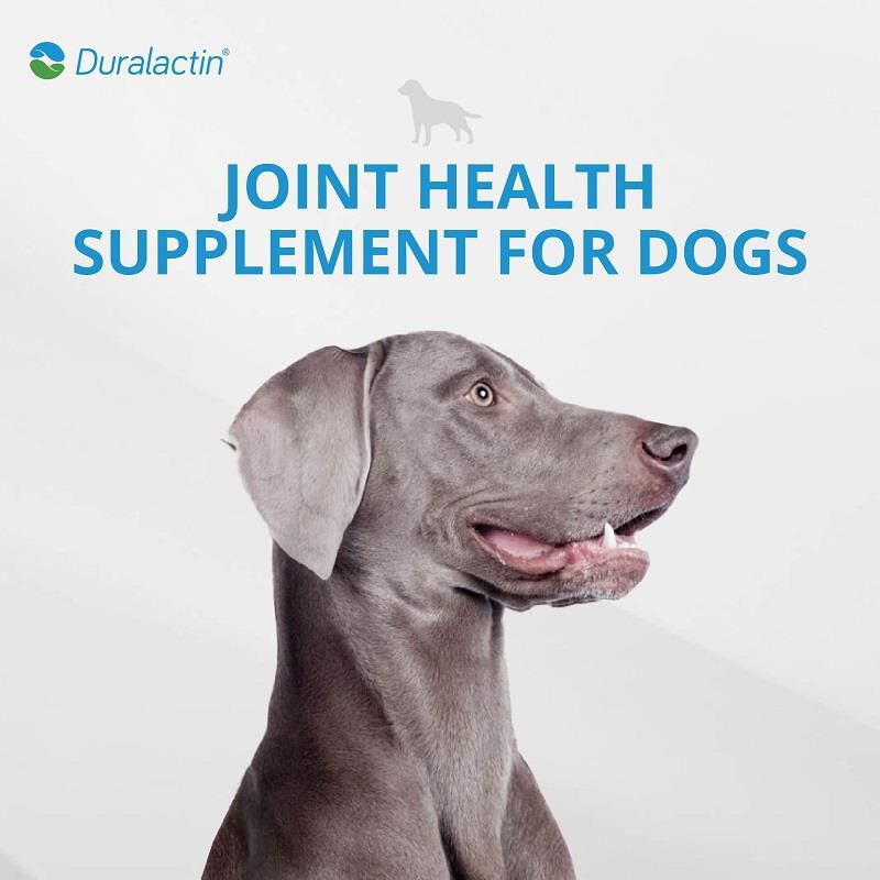 Duralactin Canine Soft Chews