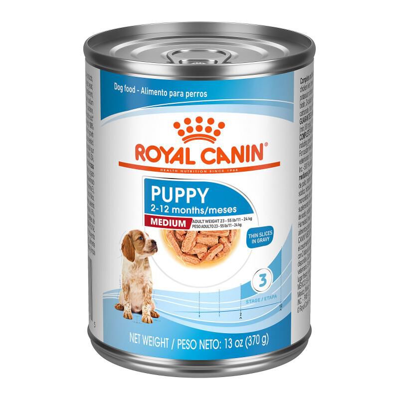 Royal Canin Size Health Nutrition Medium Puppy Thin Slices in Gravy Canned Food, 12 x 13 oz cans