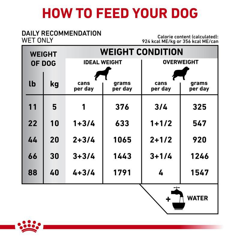 Royal Canin Veterinary Diet Adult Mature Consult Loaf in Sauce Canned Dog Food, 24 x 13.5 oz cans