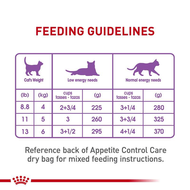 Royal Canin Feline Care Nutrition Adult Appetite Control Care Thin Slices in Gravy Canned Cat Food, 24 x 3 oz cans