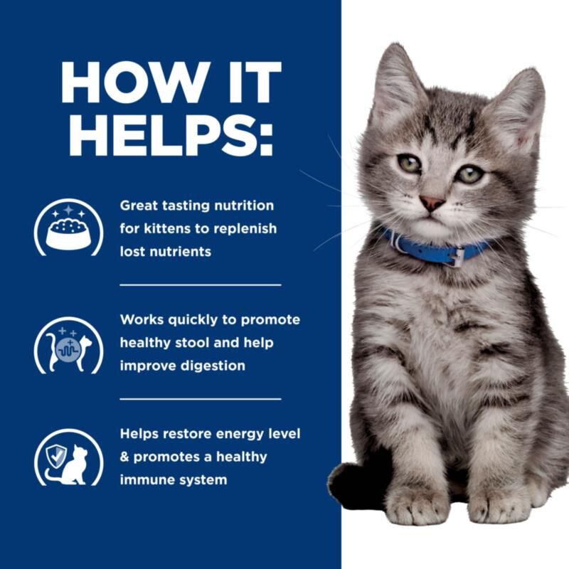 Hill's Prescription Diet i/d Digestive Care with Chicken Kitten Wet Food, 24 x 5.5 oz cans