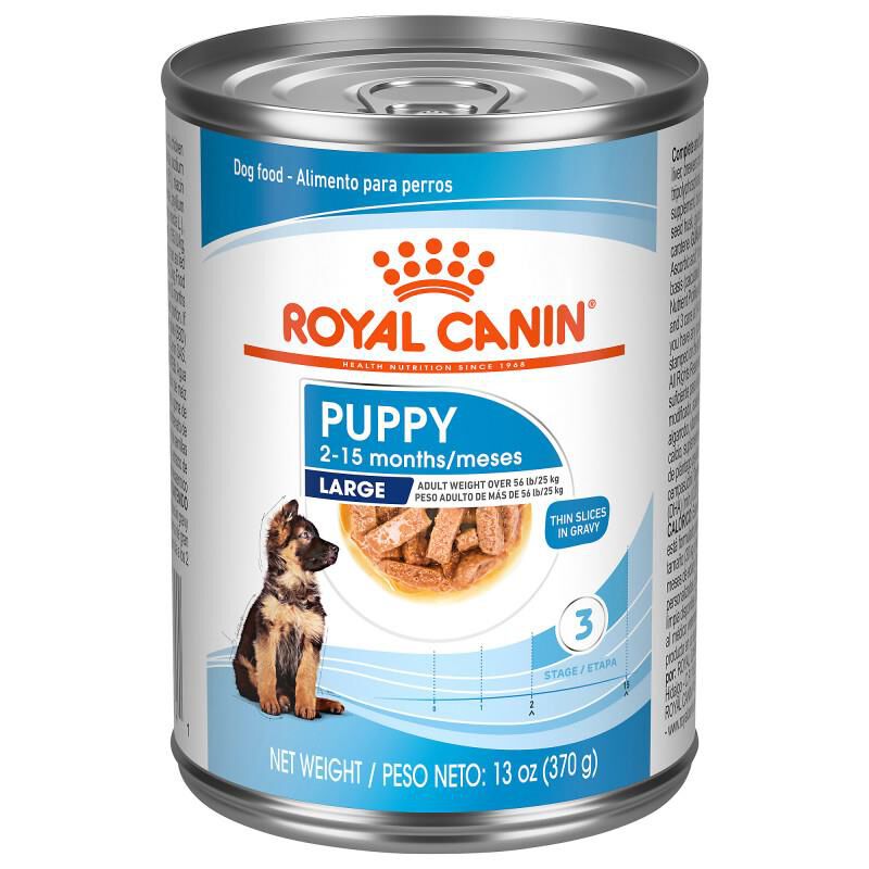 Royal Canin Size Health Nutrition Large Puppy Thin Slices in Gravy Canned Dog Food, 12 x 13 oz cans
