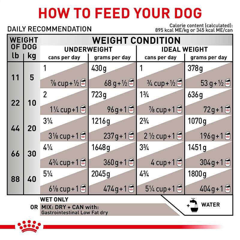 Royal Canin Veterinary Diet Adult Gastrointestinal Low Fat Canned Dog Food Wet Loaf, 13.5 oz cans