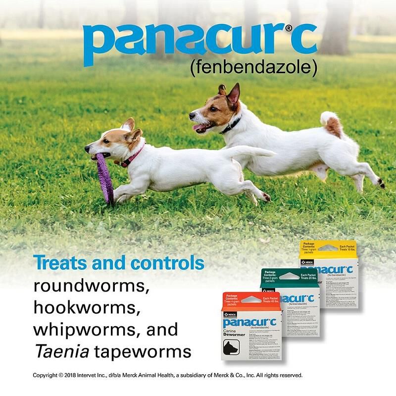 Panacur C Canine Dewormer 3x1 gm