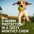 Interceptor Plus Chewable Tablets for Dogs 25.1-50 lbs Yellow, 3 Month Supply