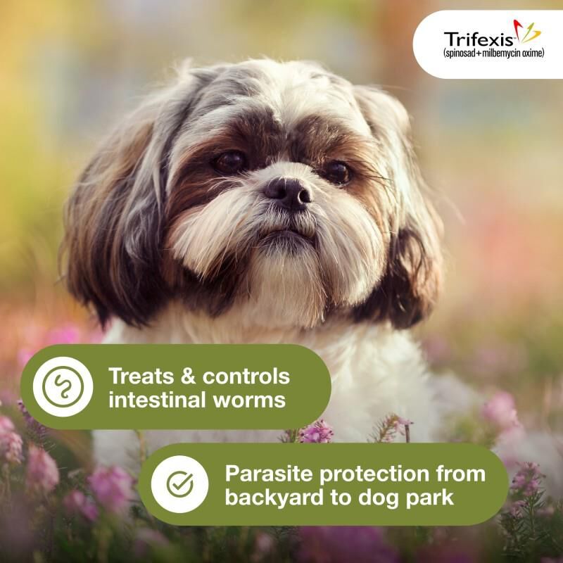 Trifexis Chewable Tablets for Dogs 5-10 lbs Pink, 6 Month Supply