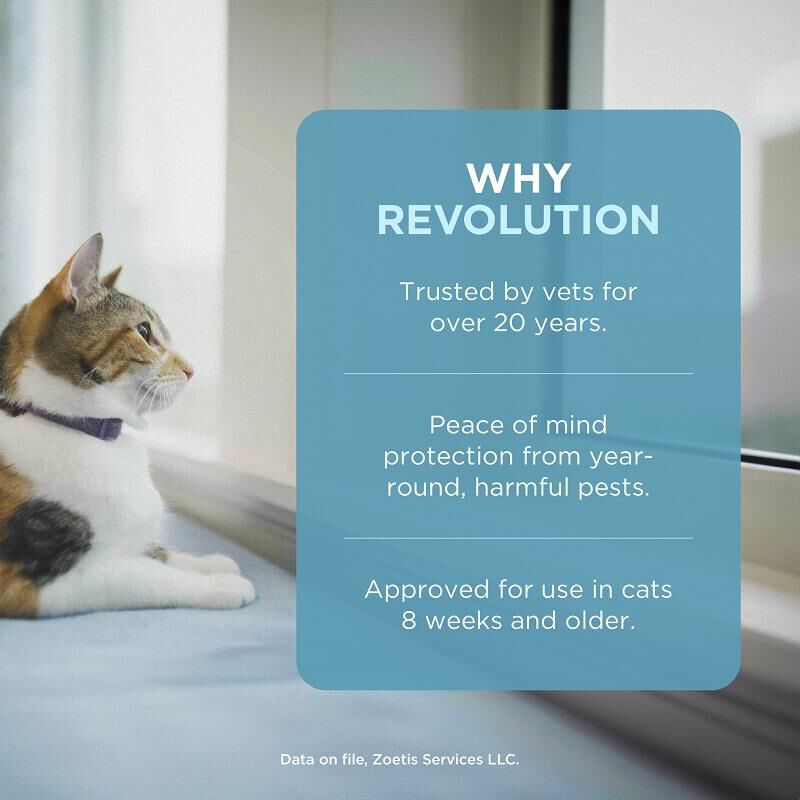 Revolution Topical for Cats 5.1-15 lbs Blue, 12 Month Supply