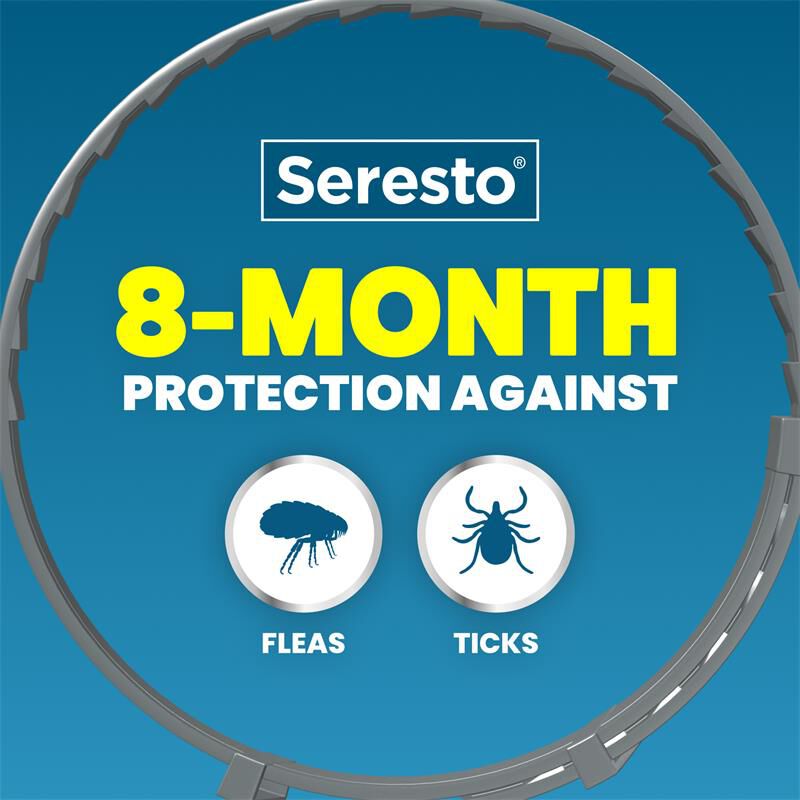 Seresto for Cats with Fleas and Ticks (2 collars)