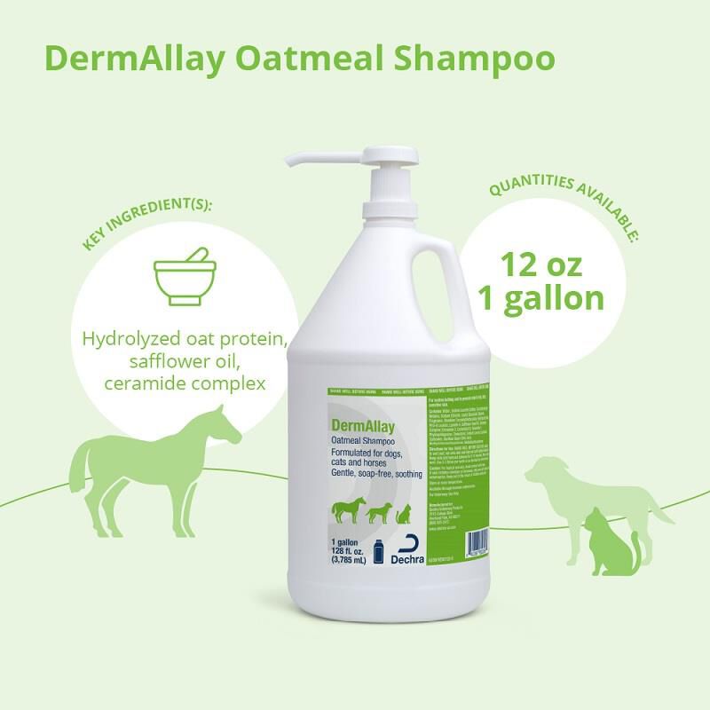 DermAllay Oatmeal Shampoo, Gallon