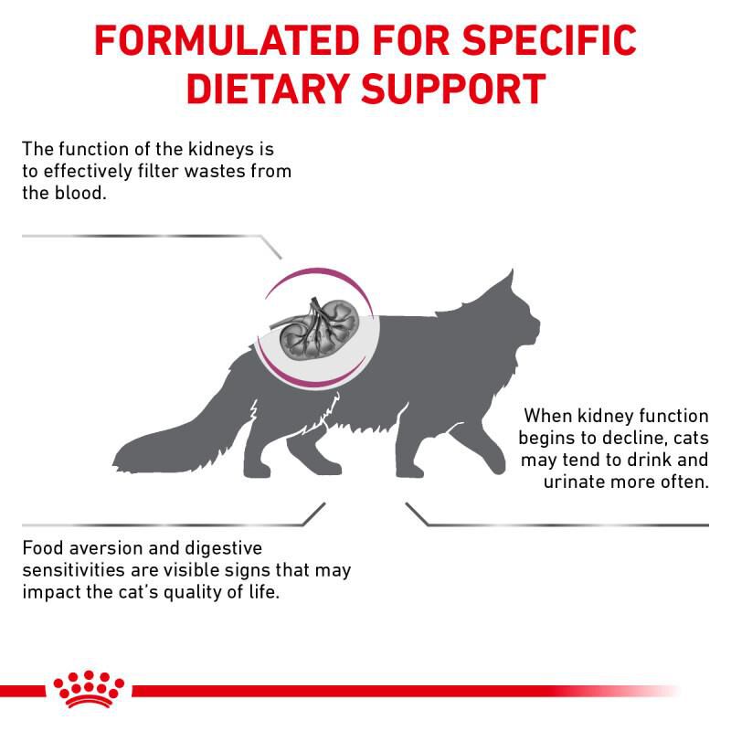 Royal Canin Veterinary Diet Adult Renal Support S Dry Cat Food