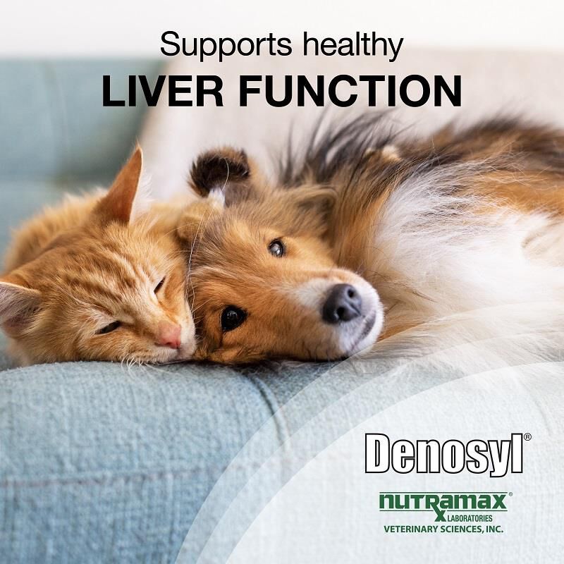 Denosyl 90 mg Small Dogs & Cats