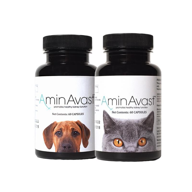 AminAvast Kidney Support for Dogs & Cats