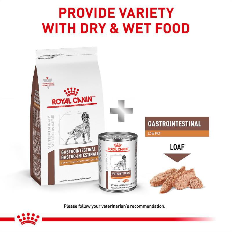 Royal Canin Veterinary Diet Adult Gastrointestinal Low Fat Canned