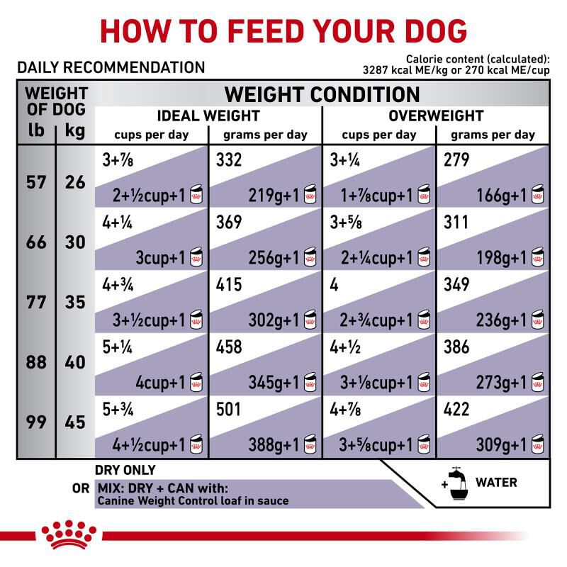 Royal Canin Veterinary Diet Adult Weight Control Large Breed Dry Dog Food, 24.2 lb bag