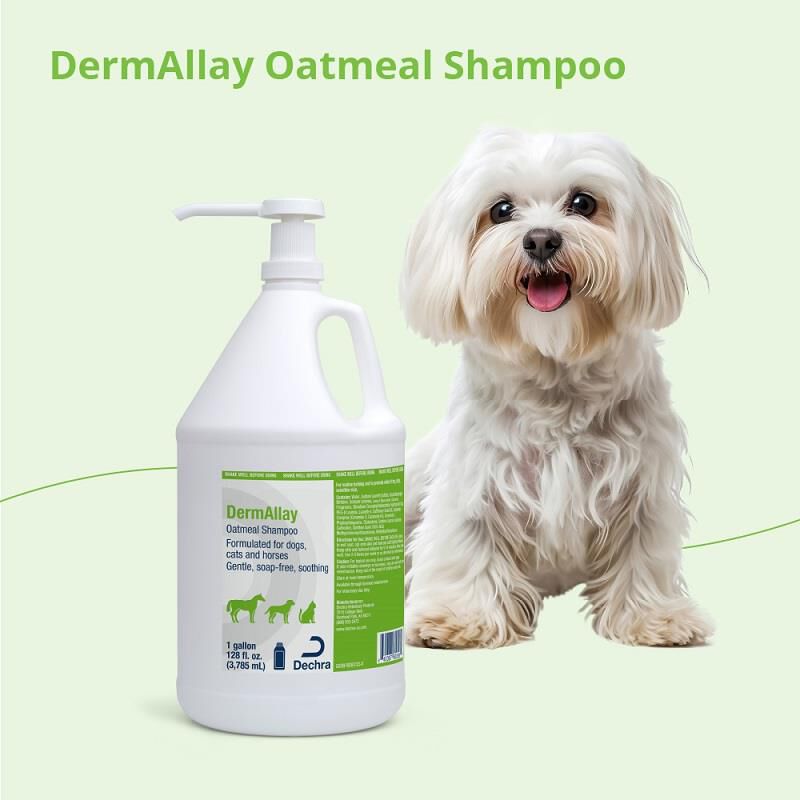 DermAllay Oatmeal Shampoo, Gallon