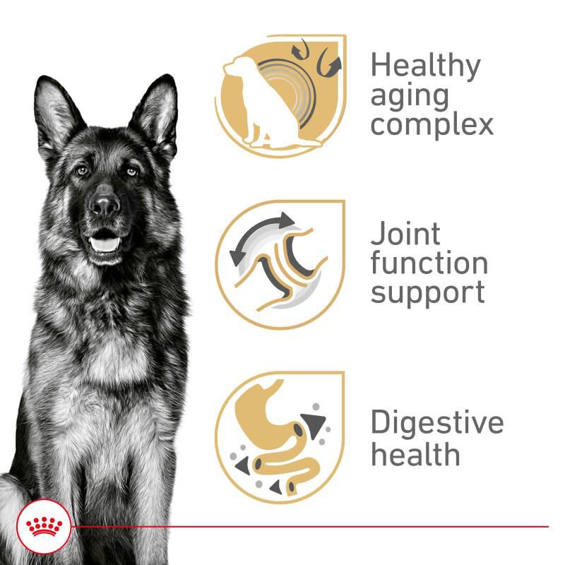Royal Canin Breed Health Nutrition German Shepherd Adult 5+ Dry Dog Food, 28 lb bag