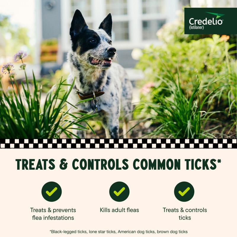 Credelio Flea & Tick Chewable Tablets for Dogs & Puppies 25.1-50 lbs (450 mg) Green 1 Month Supply
