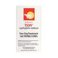 ToDAY Mastitis Treatment for Lactating Cows, Box of 12 x 10 ML Syringe Treatments
