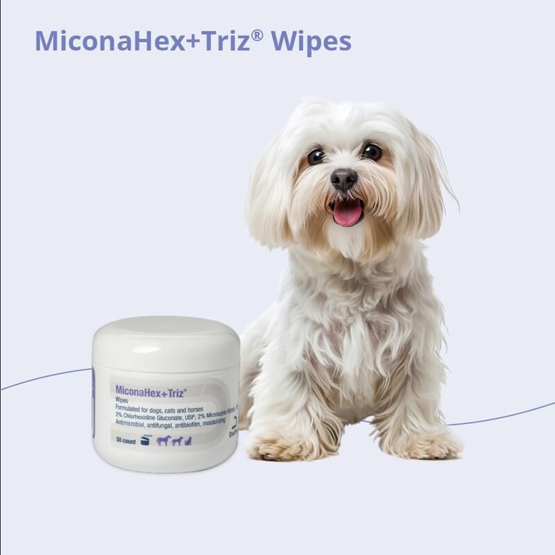 MiconaHex Triz Wipes 50 ct