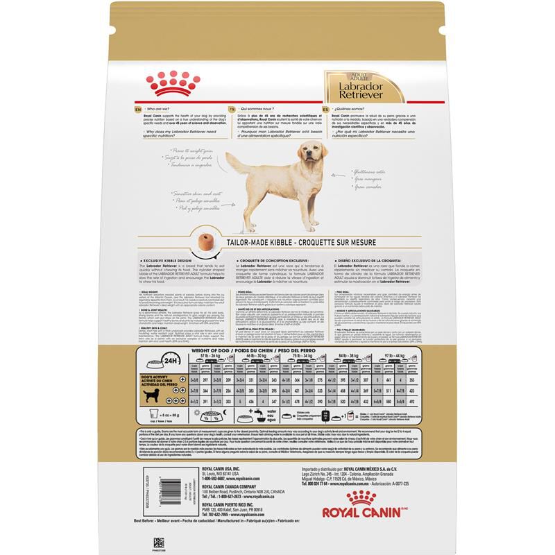 Royal Canin Breed Health Nutrition Labrador Retriever Adult Dry Dog Food