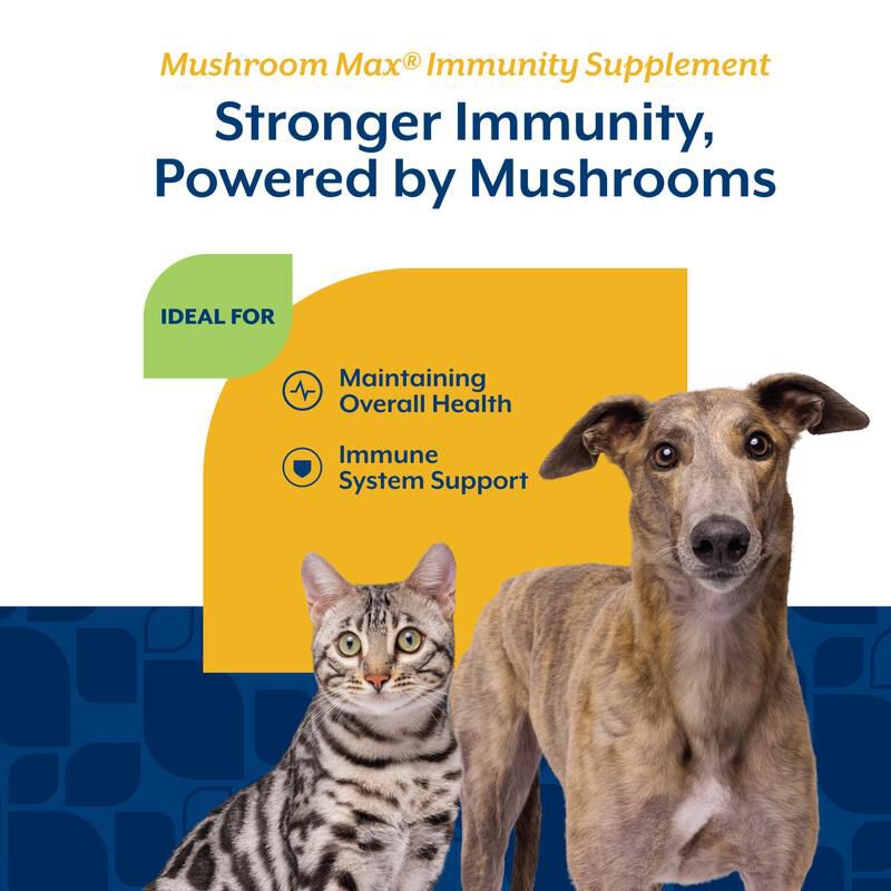 NaturVet Mushroom Max Advanced Immune Support with Turkey Tail Soft Chews for Dogs & Cats
