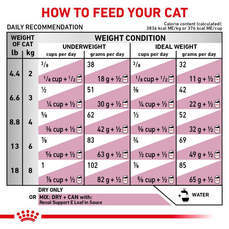 Royal Canin Veterinary Diet Adult Renal Support F Dry Cat Food