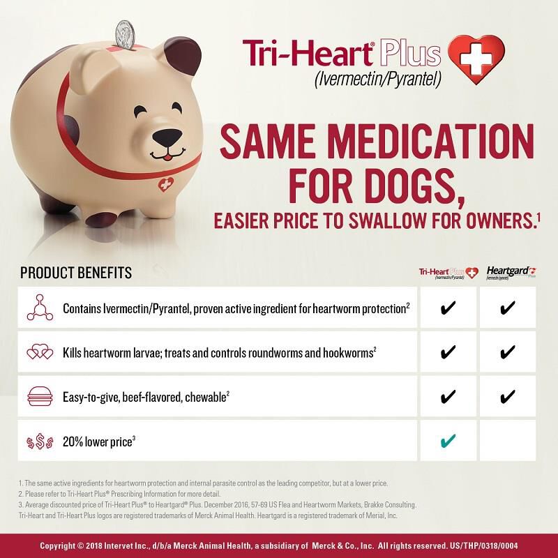 TriHeart Plus Chewable Tablets For Dogs Allivet