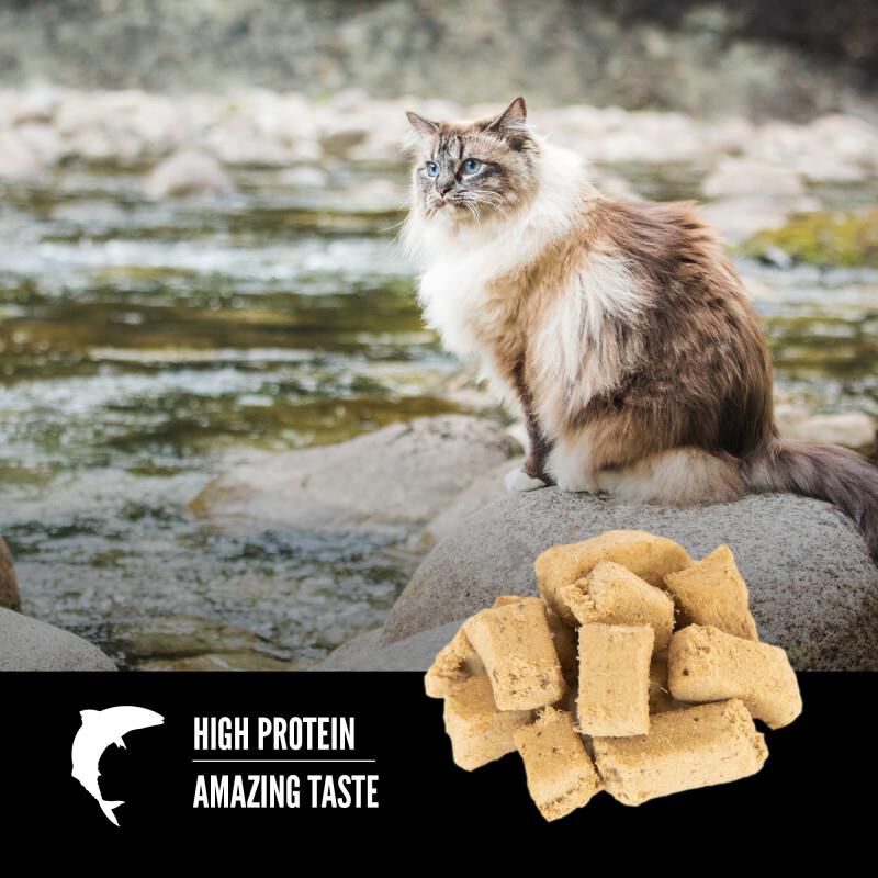 Orijen Six Fish Freeze-Dried Cat Treats, 1.25 oz