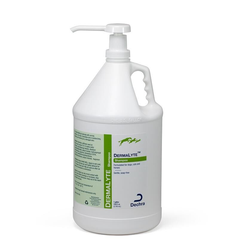 DermaLyte Shampoo Gallon