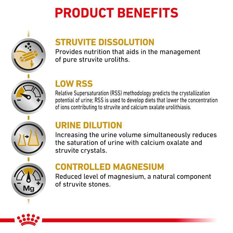 Royal Canin Veterinary Diet Adult Urinary SO Loaf in Sauce Canned Dog Food, 24 x 13.5 oz cans