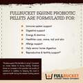 FullBucket Health Equine Probiotic Pellets, 30 servings