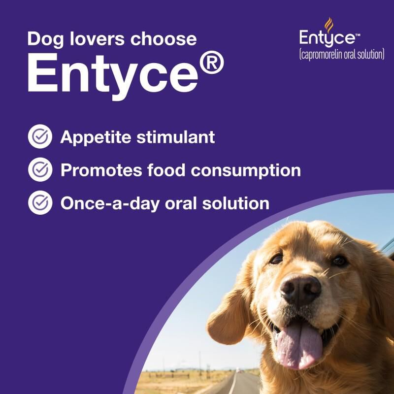 Entyce 30 mg/ml Capromorelin Oral Solution for Dogs, 10 ml bottle w/1 ml dosing syringe