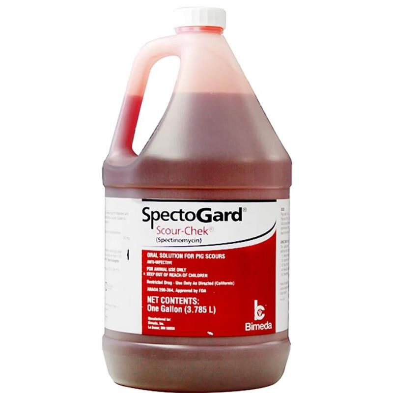 SpectoGard Scour-Chek (spectinomycin) Oral Solution for Pig Scours, Gallon