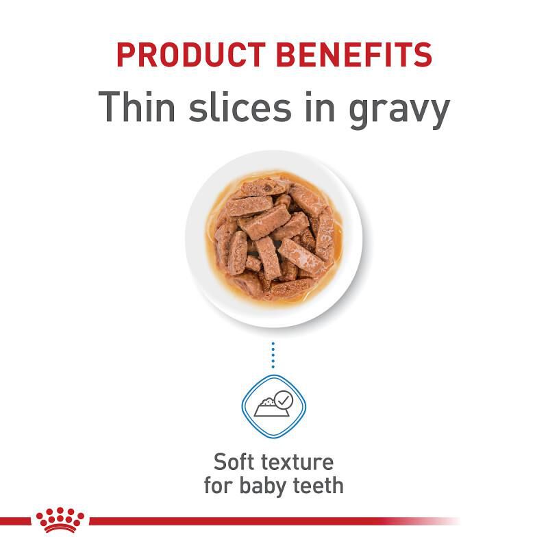 Royal Canin Size Health Nutrition Large Puppy Thin Slices in Gravy Canned Dog Food, 12 x 13 oz cans