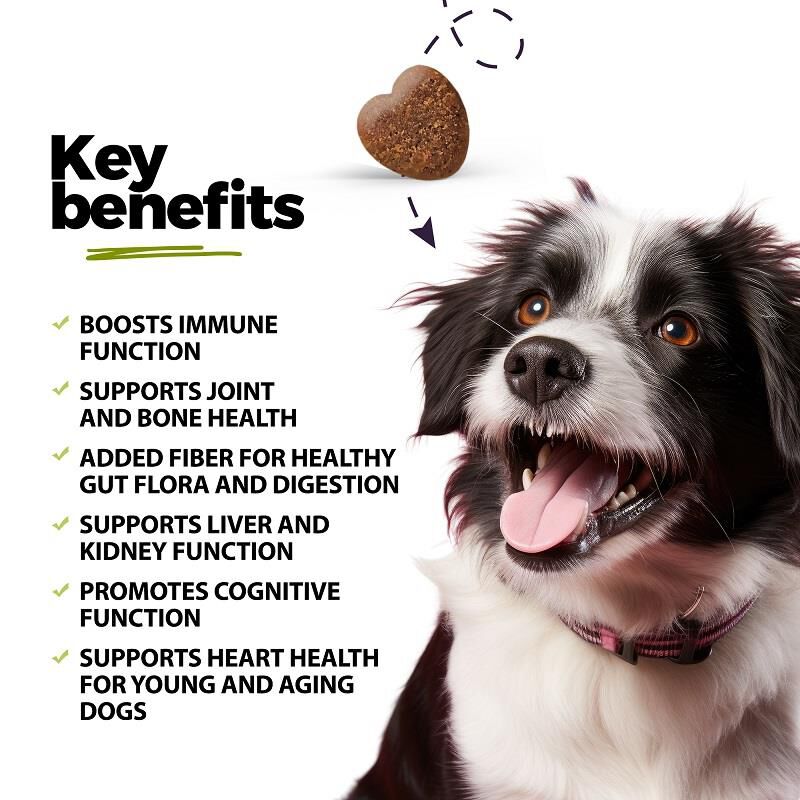 Super Multivitamin CoQ10 & Probiotic Soft Chews for Dogs, 60 ct