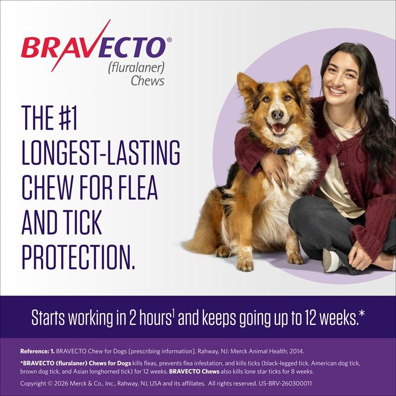 Bravecto Chewable Tablets 4.4-9.9 lbs Yellow, 112.5 mg 1 chewable, 3 month acting