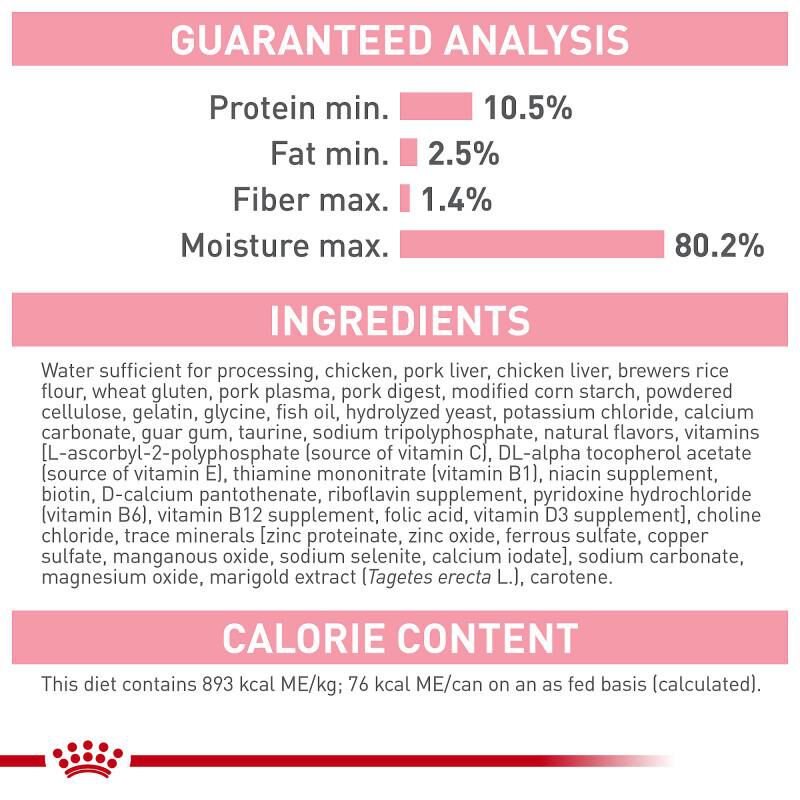 Royal Canin Feline Health Nutrition Kitten Thin Slices in Gravy Canned Cat Food, 24 x 3 oz cans