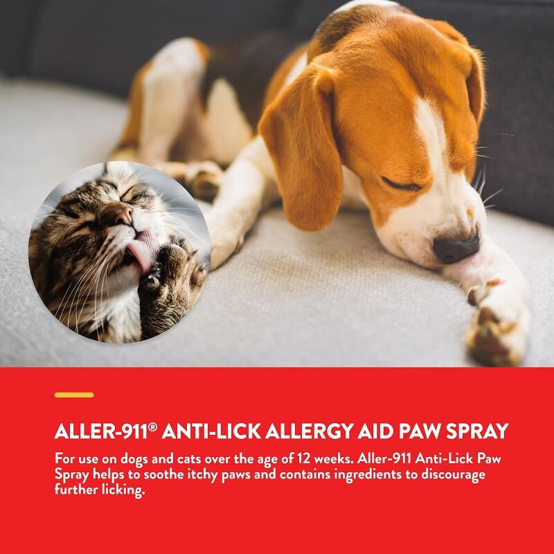 Anti licking spray for cats clearance