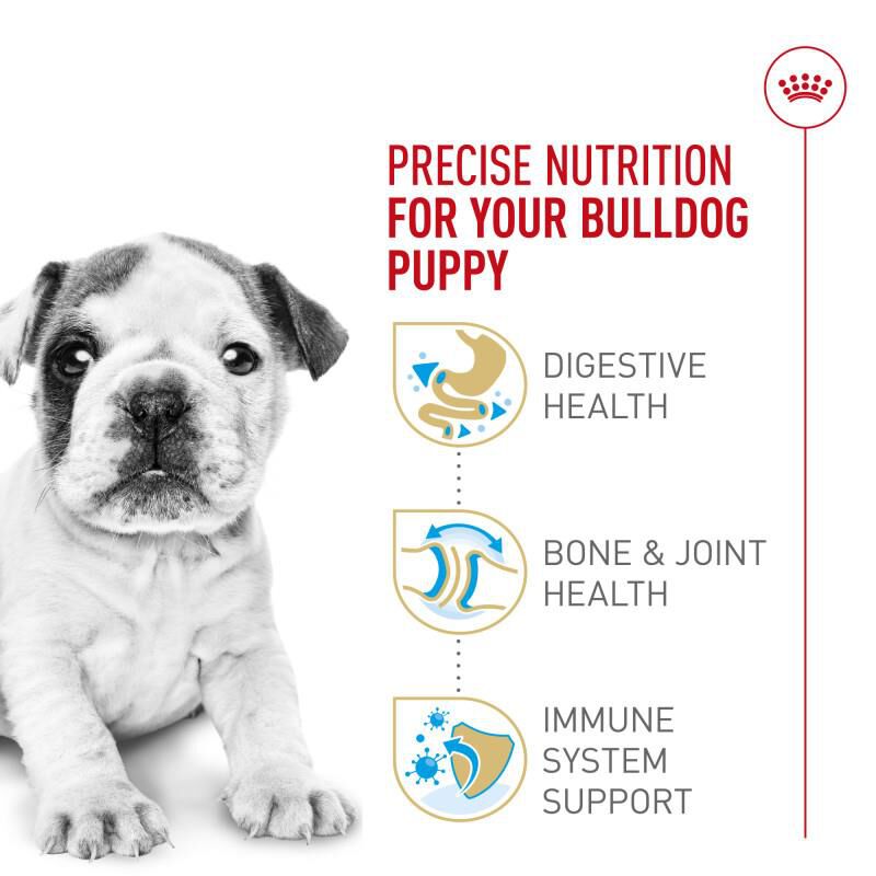 Royal Canin Breed Health Nutrition Bulldog Puppy Dry Dog Food, 30 lb bag