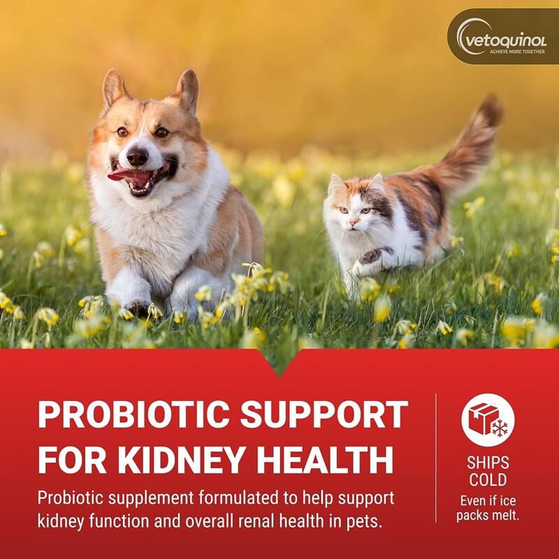 Vetoquinol Azodyl Small Caps for Cats and Dogs, 90 Count