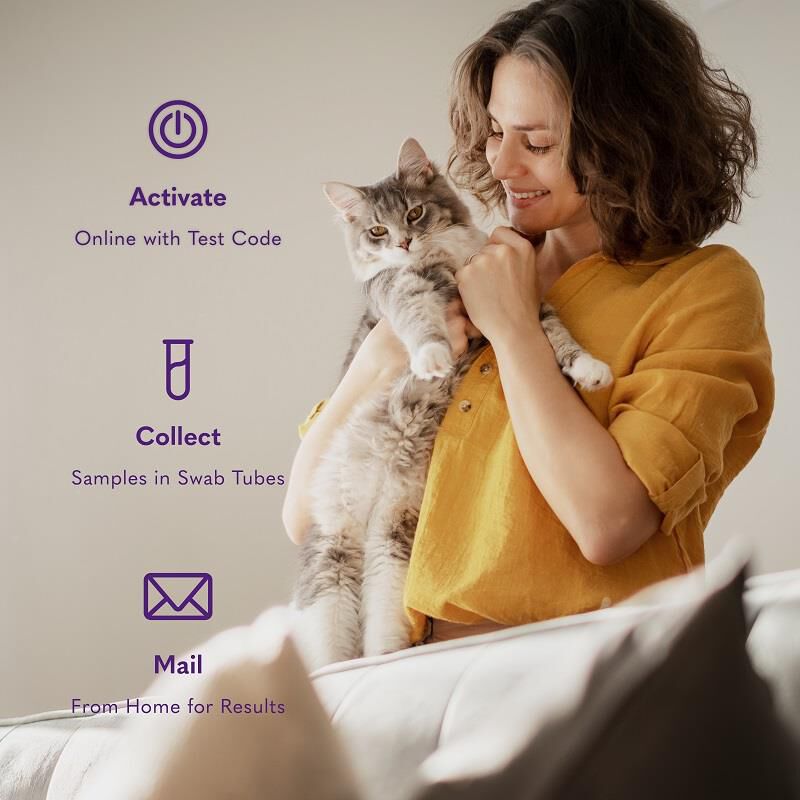 MySimplePetLab Ear Infection Cat Test Kit