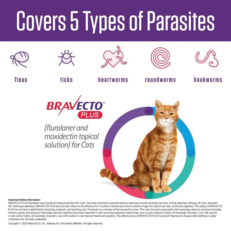 Bravecto Plus Topical Solution for Cats 6.2-13.8 lbs (Fluralaner 250 mg/Moxidectin 12.5 mg) Blue