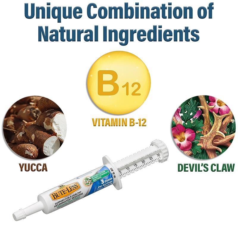 Absorbine Bute-Less Paste 3 Dose Syringe, 1 oz