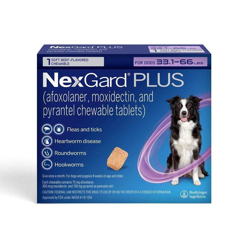 NexGard PLUS Chewables for Dogs 33.1-66 lbs Purple, 1 Month Supply