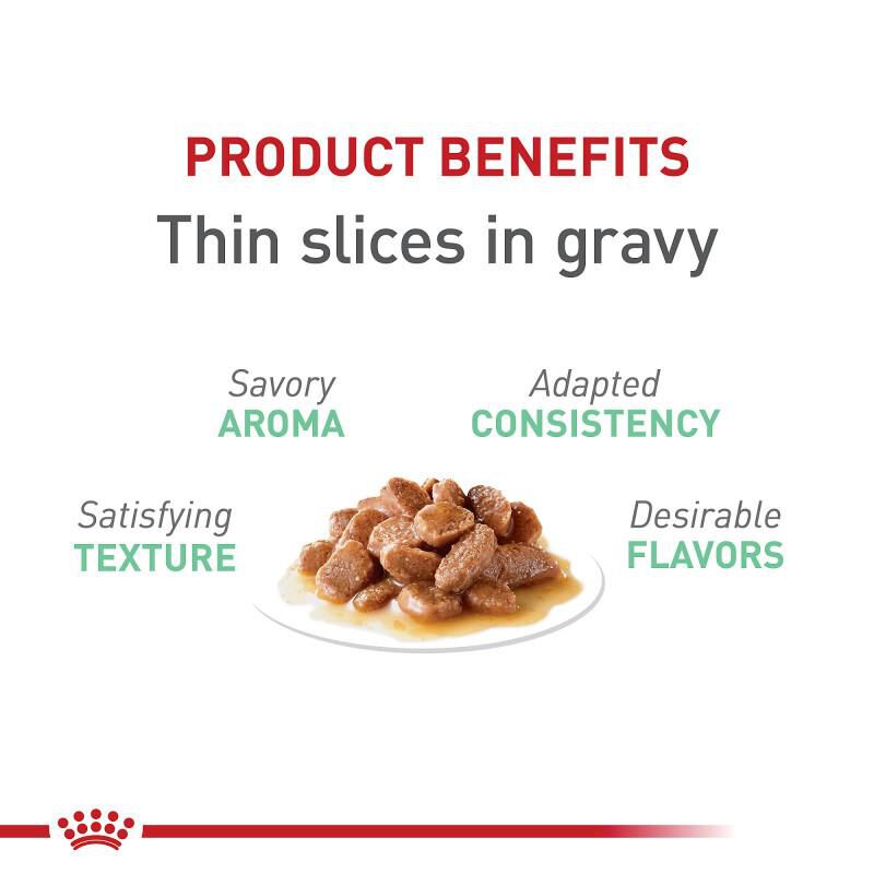 Royal Canin Feline Care Nutrition Digestive Care Adult Gravy Canned Cat Food, 24 x 5.1 oz cans