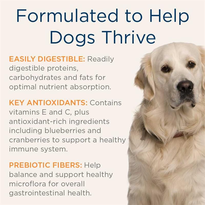 Blue Buffalo Natural Veterinary Diet GI Gastrointestinal Support Dry Dog Food