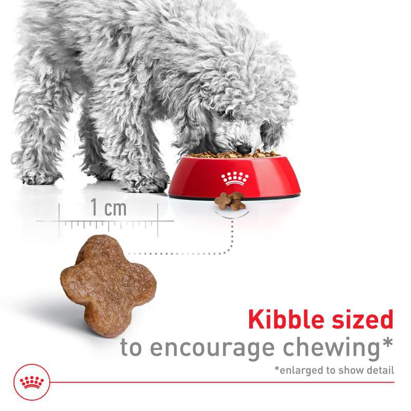 Royal Canin Size Health Nutrition Small Adult 8+ Dry Dog Food